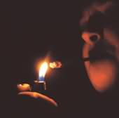 Getting high on cannabis